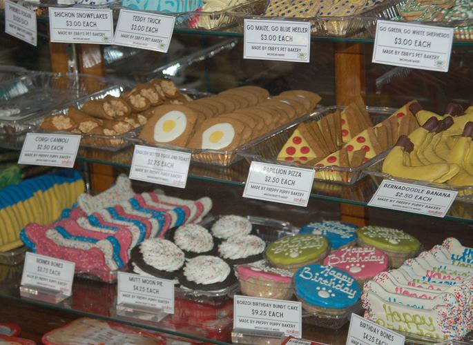 Unique dog boutique still going strong in South Haven Localnews