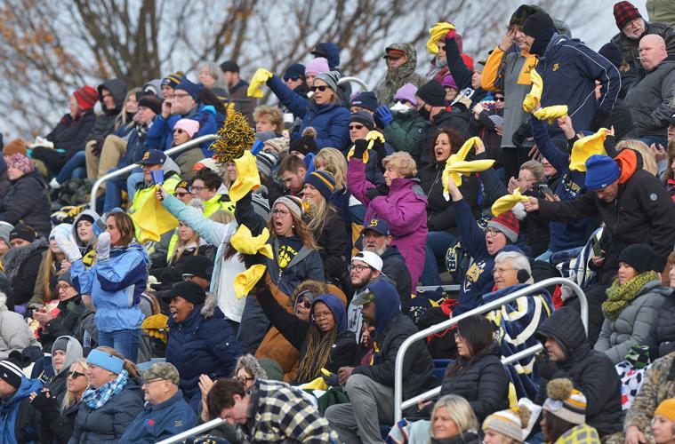 St. Joseph falls to defending champion DeWitt in D3 football semifinals