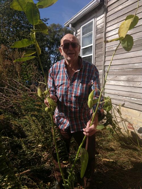 Monster Milkweed
