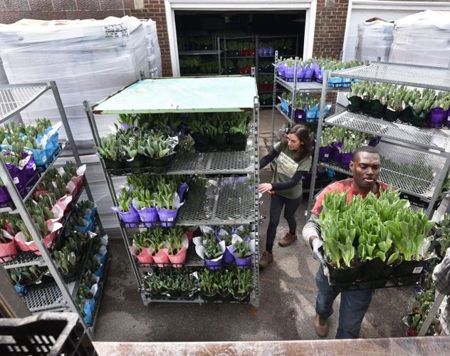 Soaring diesel prices fuel pocketbook pain in Merrimack Valley | Local ...