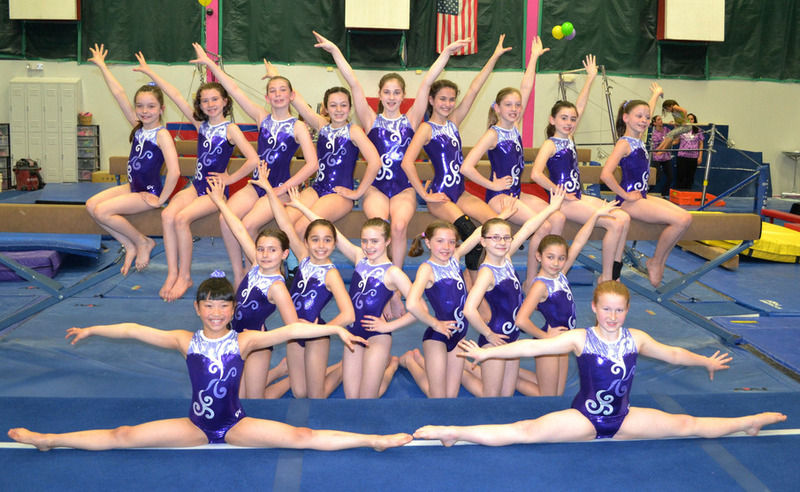 The entire team