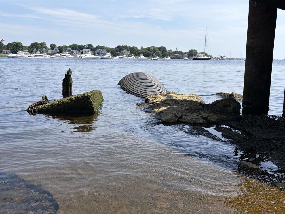 Unsafe bacteria levels recorded by river watchdog group
