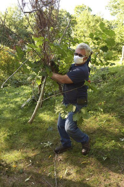 Cemetery cleanup