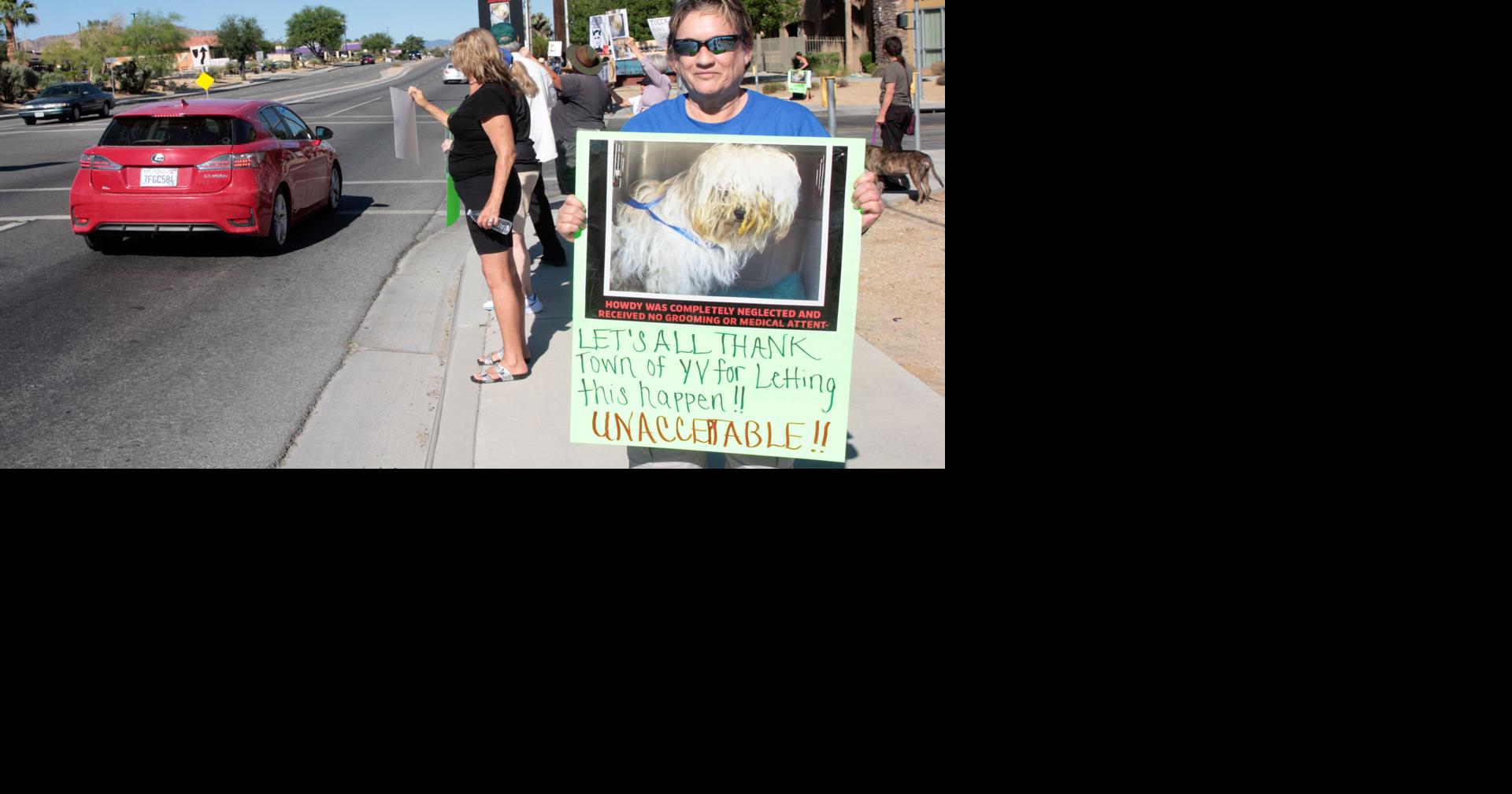 Dog’s condition kindles more outrage | News