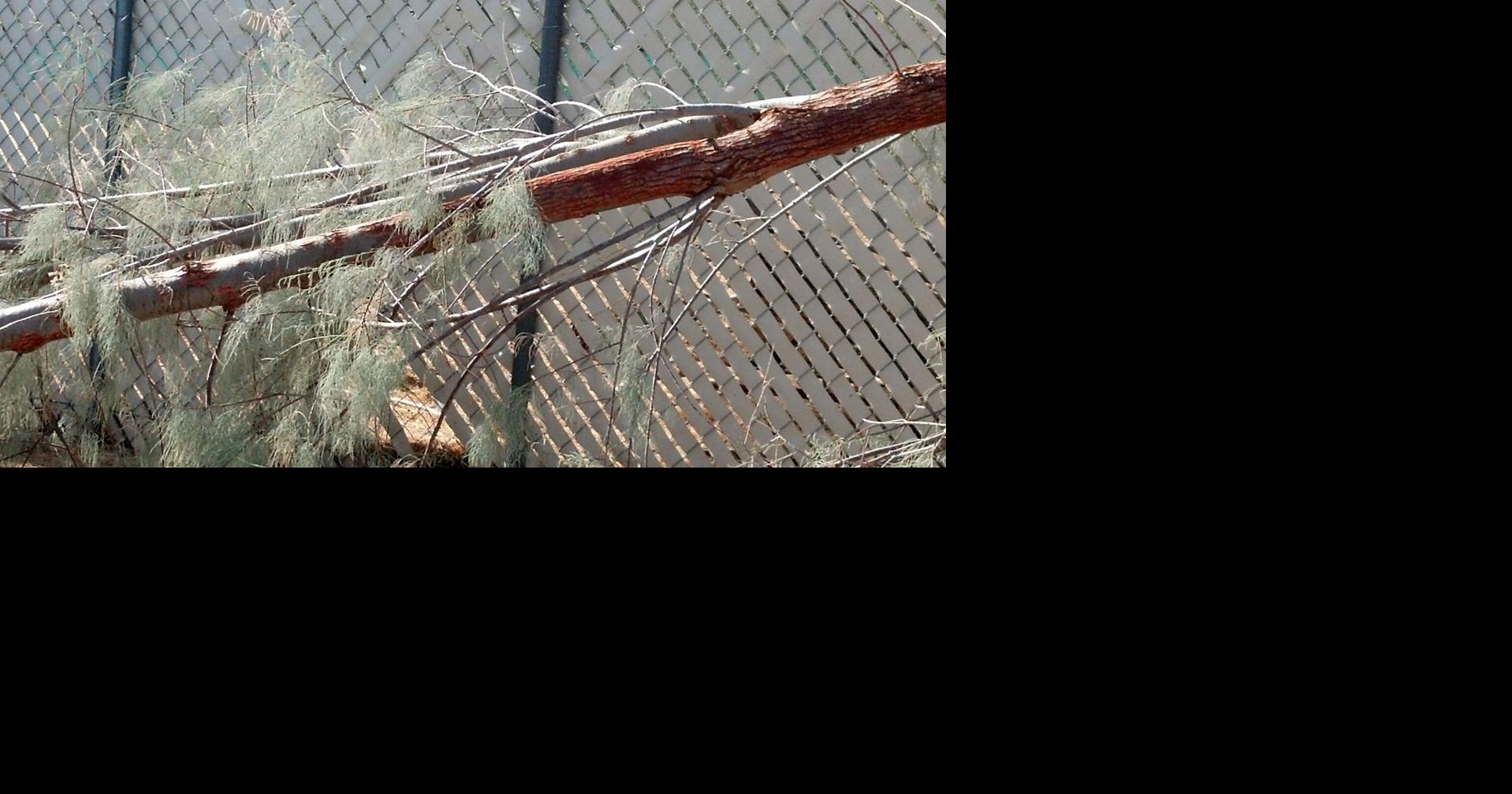 Joshua Tree woman has complaint on code enforcement | News ...