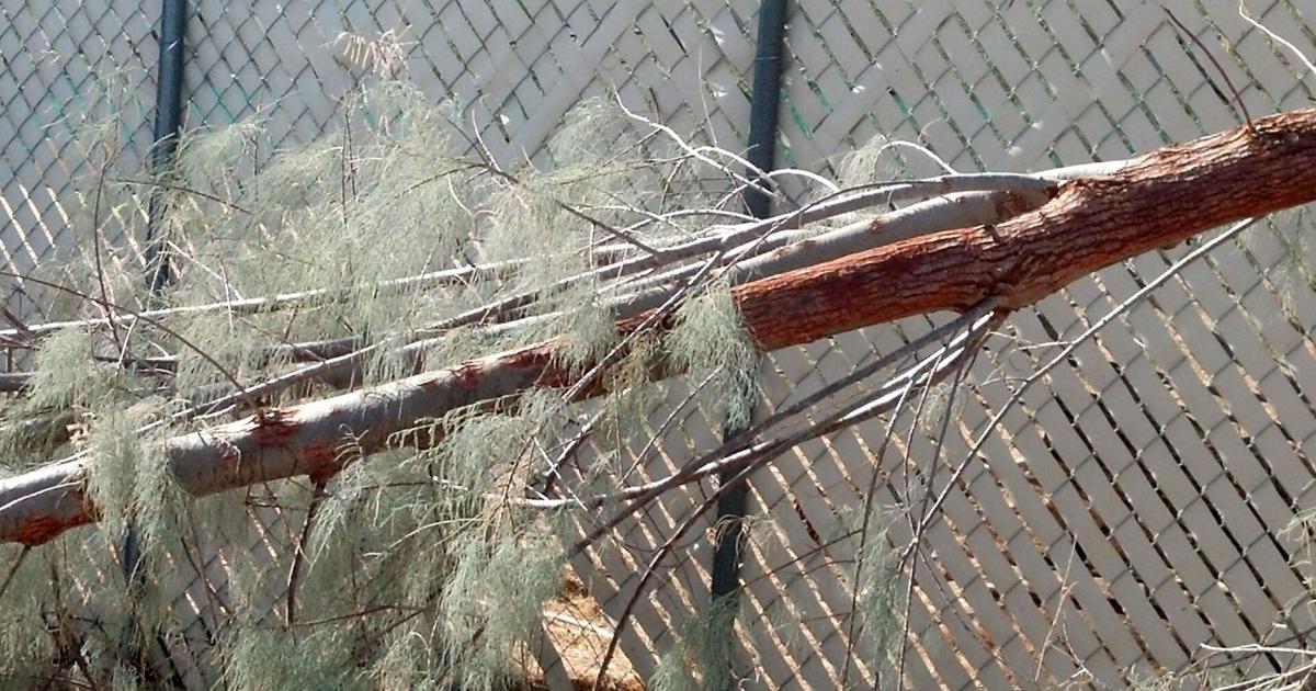 Joshua Tree woman has complaint on code enforcement | News ...