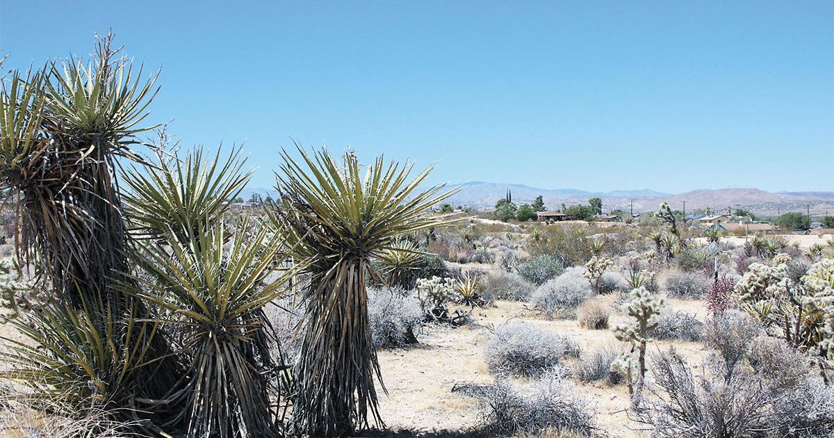 County broke state law, judge rules; Hi-Desert group wins court battle against housing project