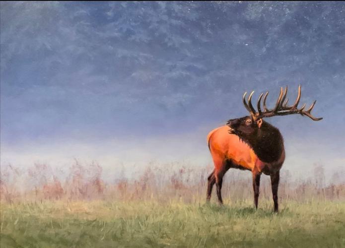 Art galleries in the High Country Arts/Galleries