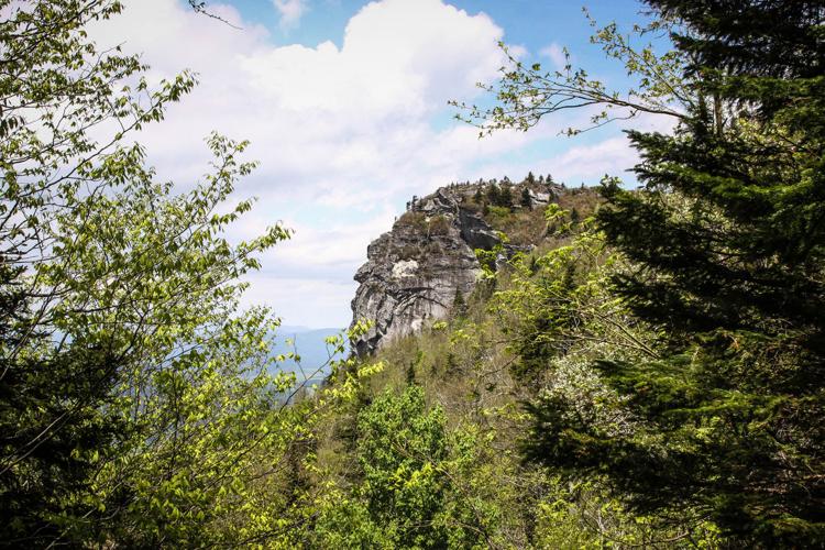 Profile from Profile Trail