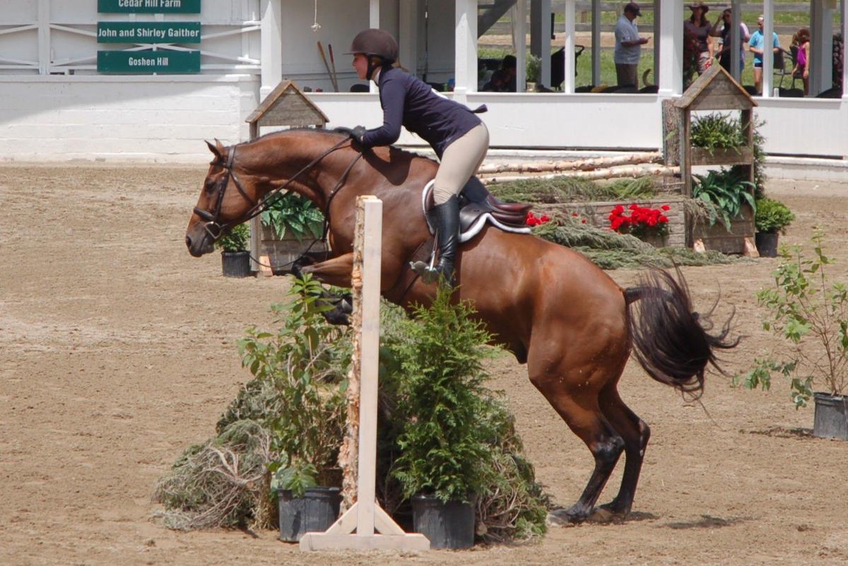 The Blowing Rock Charity Horse Show Returns With Hunter Jumper 433