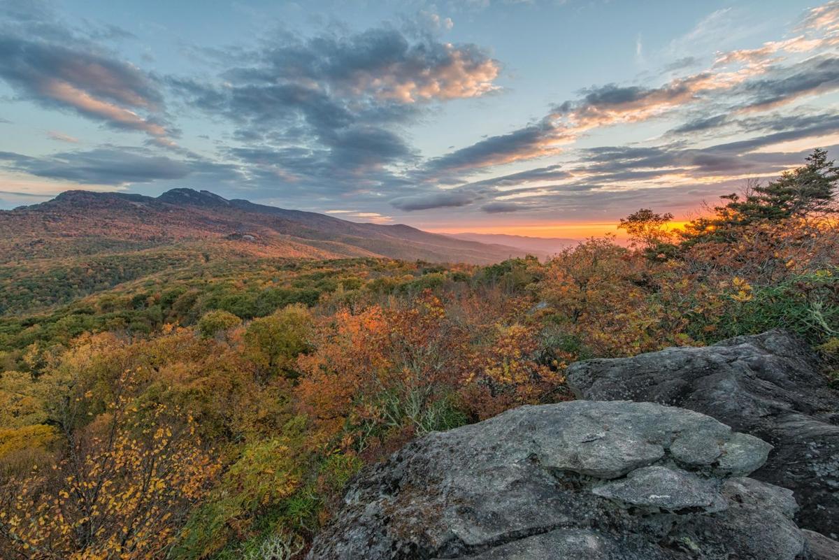 Photo gallery: Bounty of color | Blue Ridge Parkway | highcountrync.com