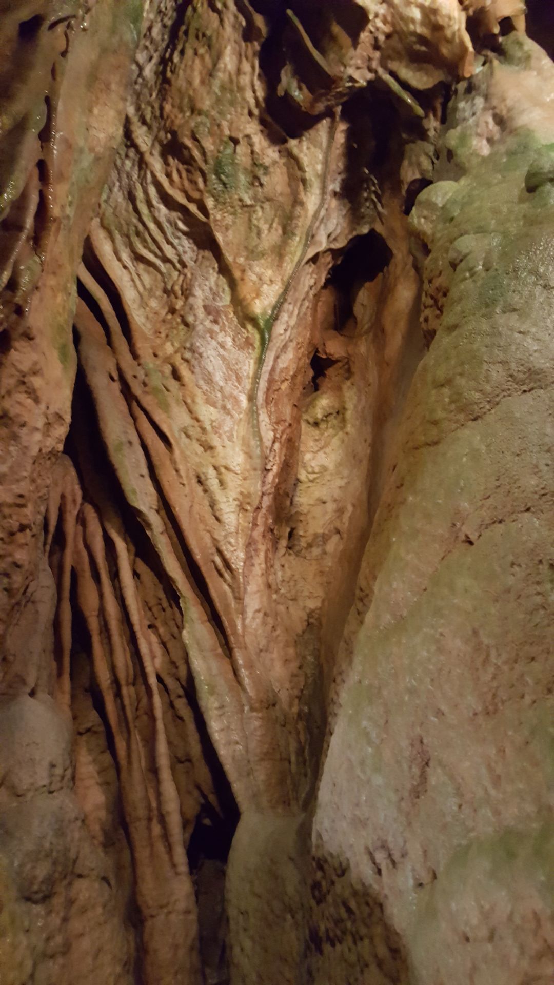 Linville Caverns See The Inside Of A Mountain Hcnc