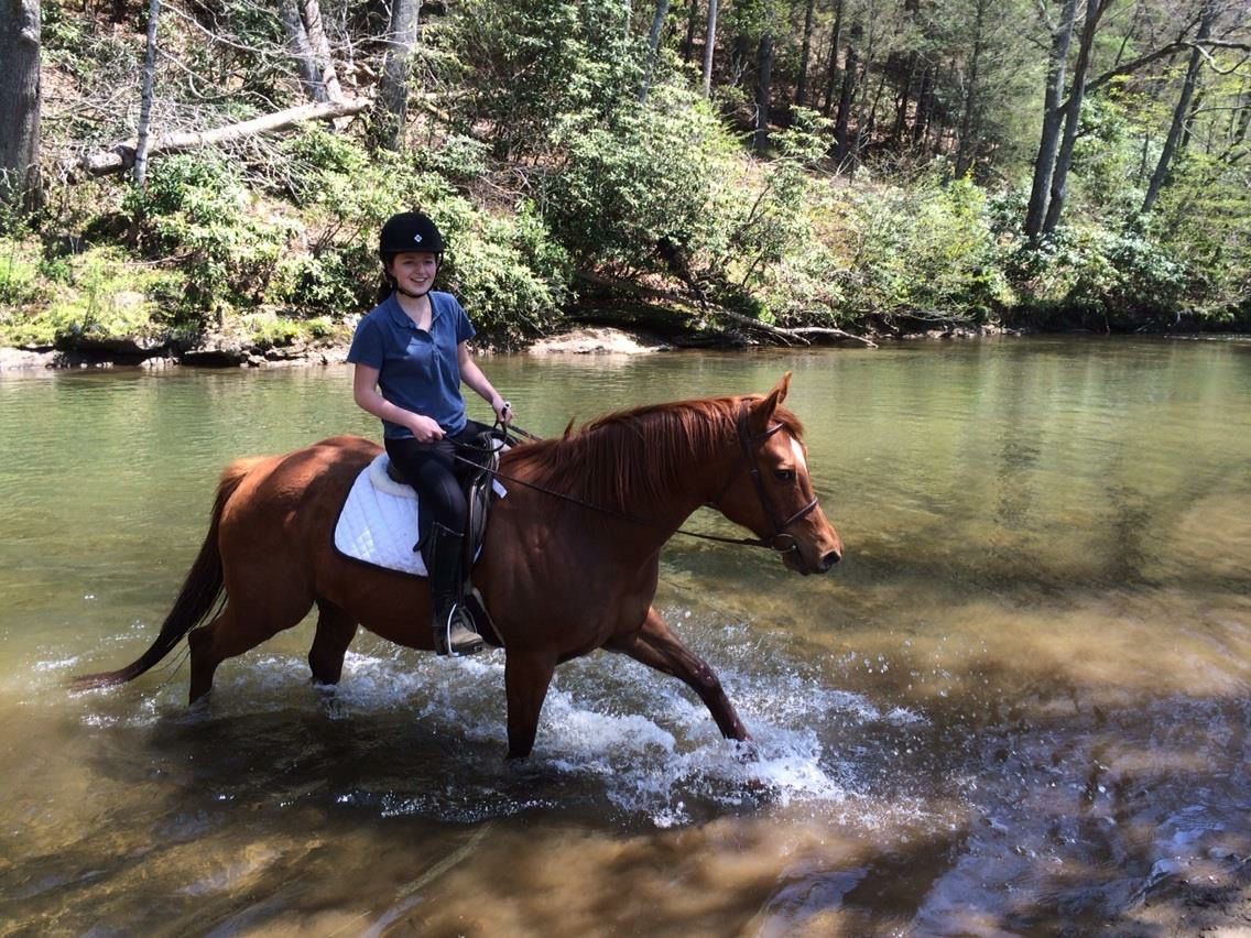 Leatherwood Mountains Others Offer Top Horseback Riding