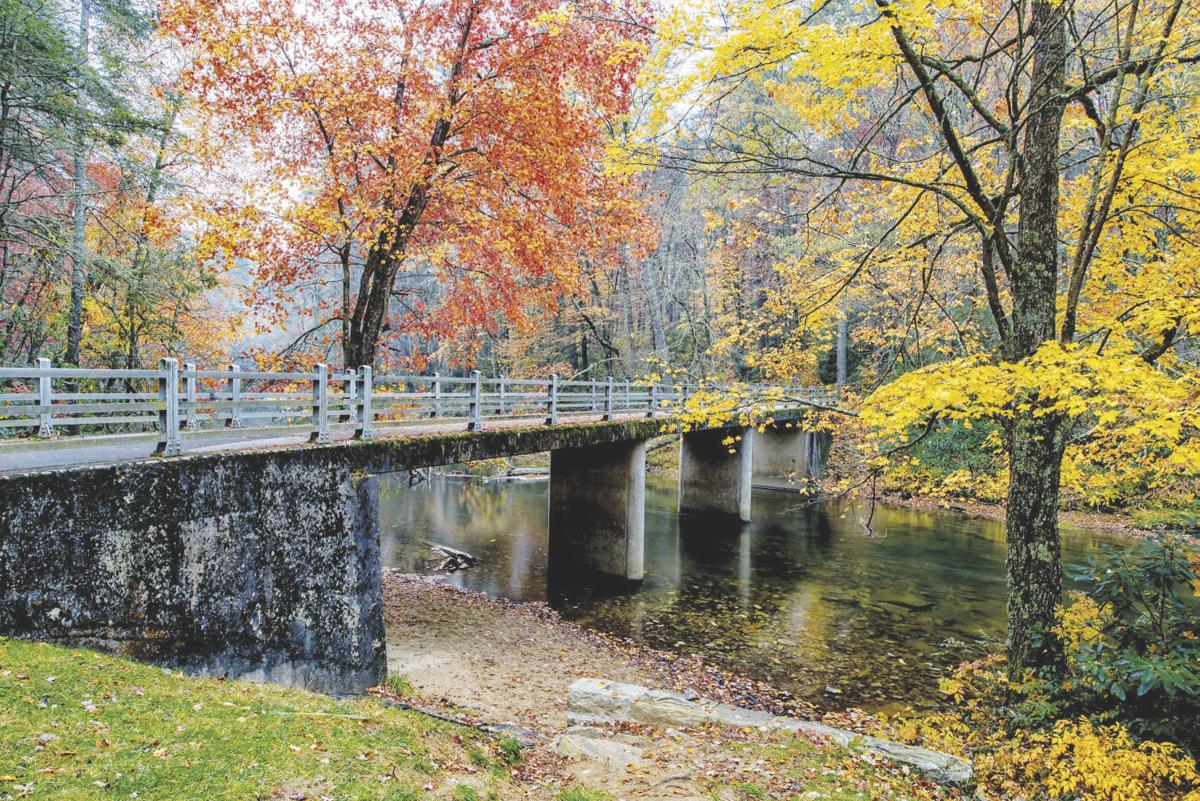 Blue Ridge Parkway: Showcasing the seasons and especially the fall