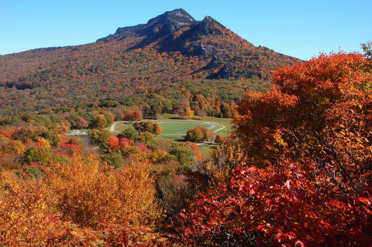 Autumn wonders elevated at Grandfather Mountain | Hcnc | highcountrync.com