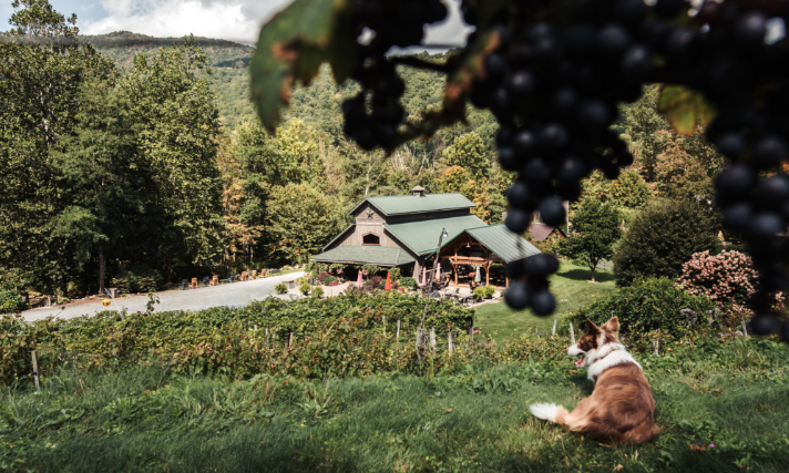 Sippin Wine In The Summertime Wineries Highcountrync Com