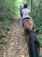 Experiencing the High Country on horseback