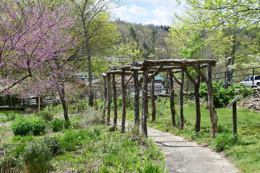 Early Bird Wildflower Walk & Plant Sale at Daniel Boone Native Gardens