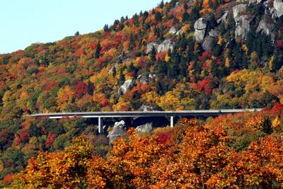 Grandfather Mountain Jaunts Showcase Fall Foliage Seasonal
