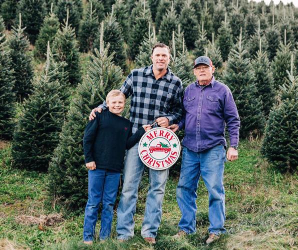 Tree sales climb this season Some chooseandcut Christmas tree farms