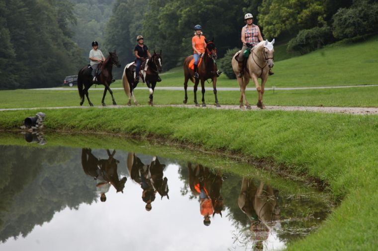Equestrian Highcountrync Com