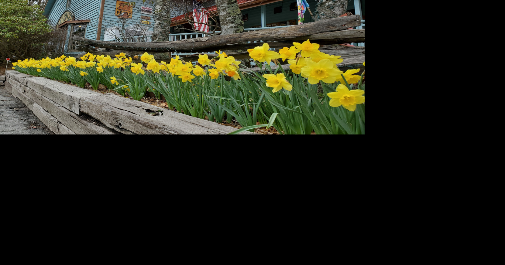 Stop and shop at High Country's general stores | Shop | highcountrync.com