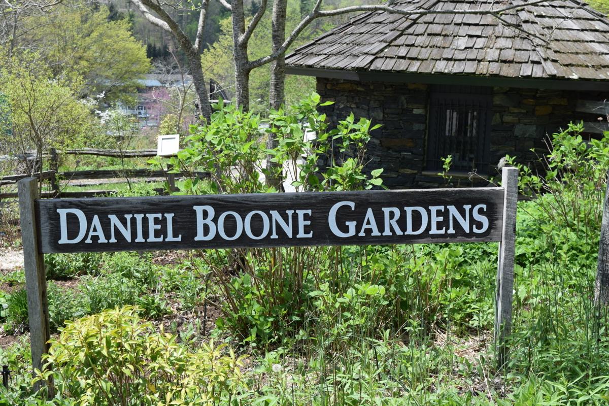 Daniel boone native gardens