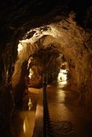 Linville Caverns: adventure lurks beneath the mountains