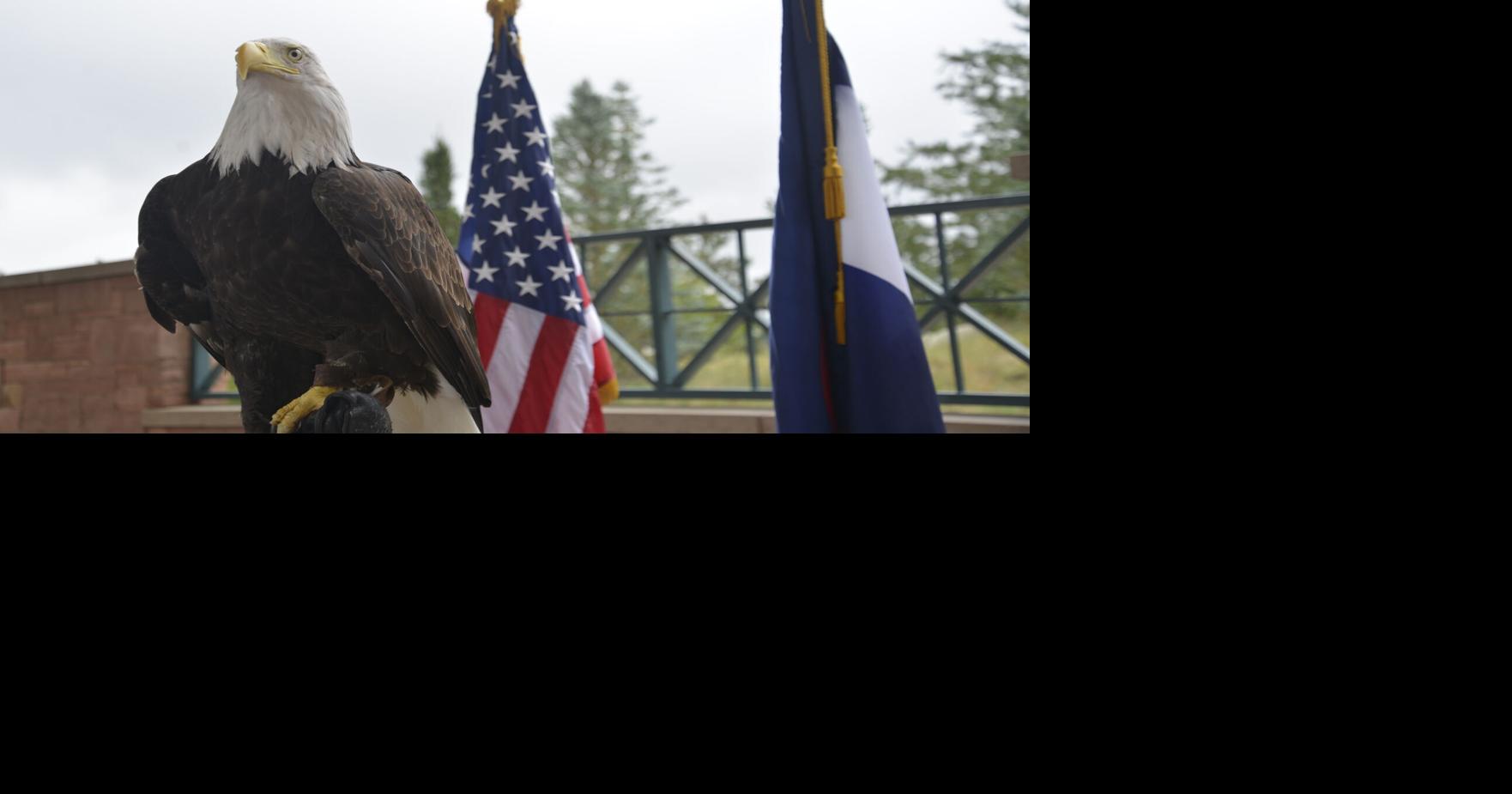 ThunderRidge senior honors art, veterans with ‘Honors Art Festival’