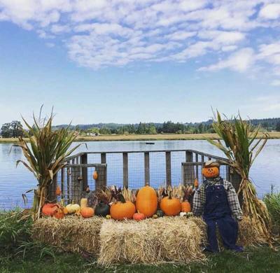 Popular Lakeview Farms pumpkin patch closes its doors