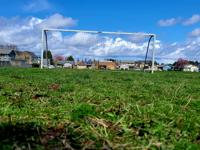 Hillsboro Hops Plans Stadium Improvements – SportsTravel