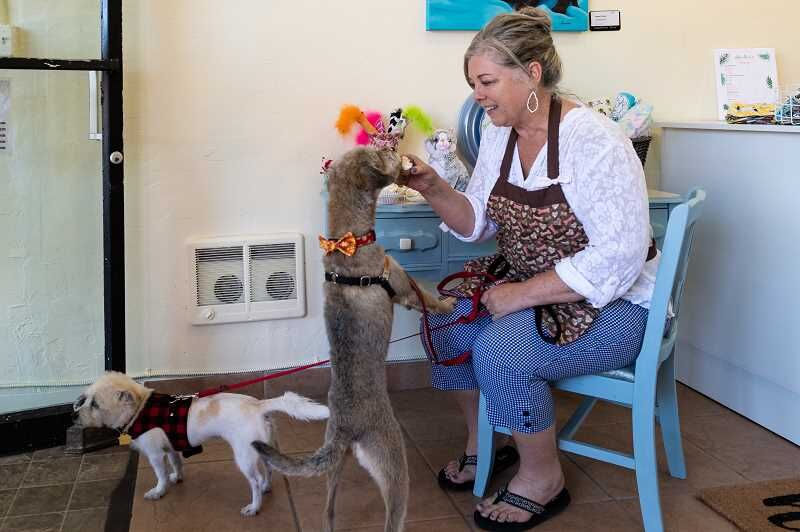 Bone appetit hotsell a doggie bakery