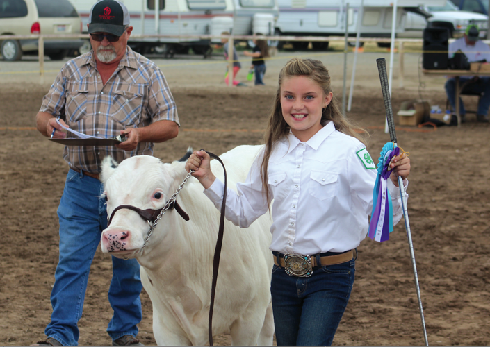 Fair’s 4-H/FFA blue ribbon recipients listed | News | hjnews.com