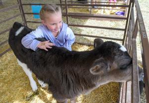 Celebrating spring with Baby Animal Days