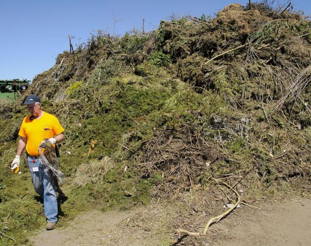 Logan Green Waste Facility explains toxic mulch Allaccess
