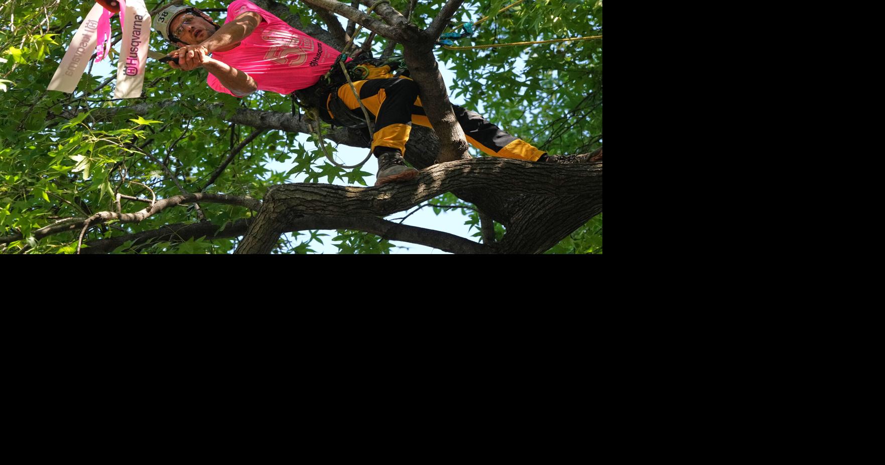Tree Climbing Championship | Nation | hjnews.com