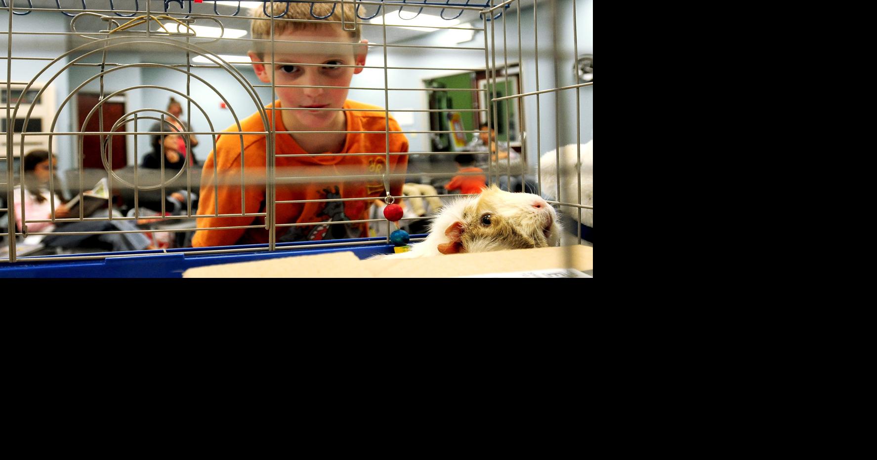 Cache Humane Society gives pet care tips to local kids | Allaccess ...