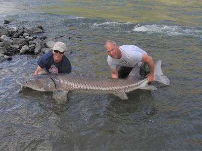 U S Offers Some Amazing Large Fish To Catch Outdoors Hjnews Com