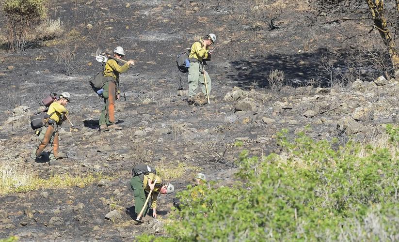 Update Sardine Canyon fire 50 contained, 56 acres burned Accidents