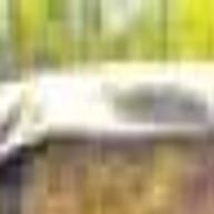 enough with decoration cache valley utah idaho and national news hjnews com herald journal