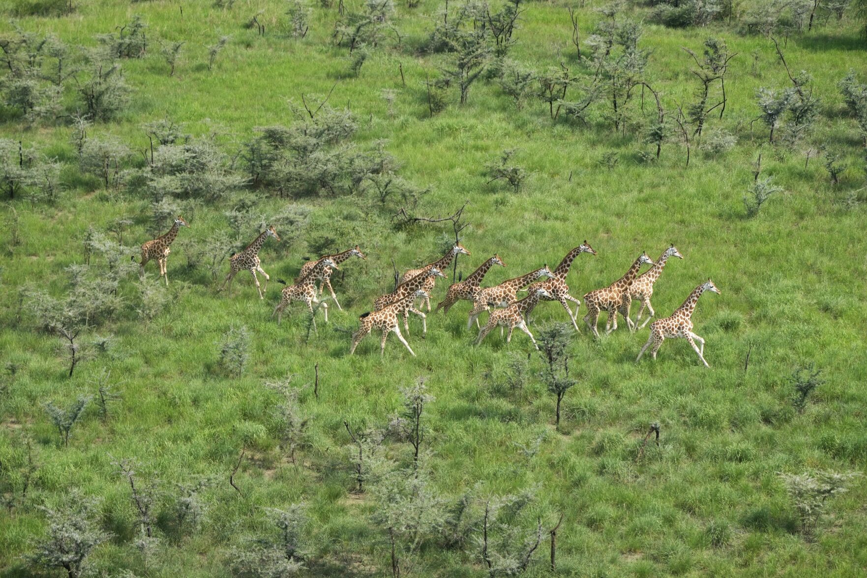 Climate COP16 Biodiversity Explainer | World | Hjnews.com