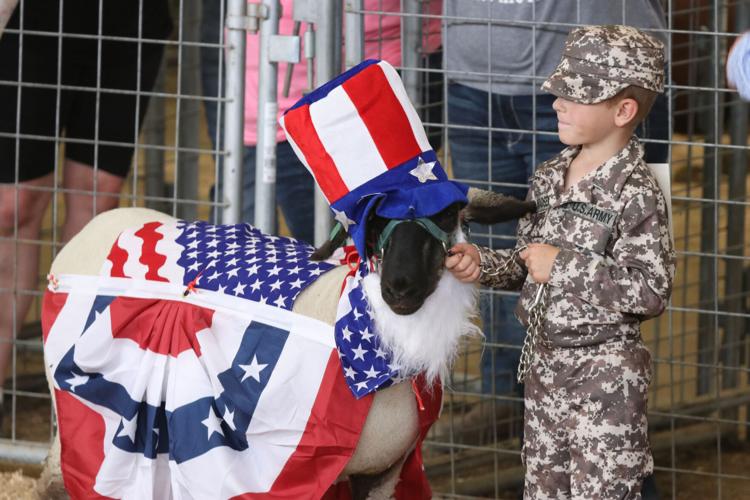 Pee Wee Lamb Show Always a fair crowd favorite Tremonton Leader