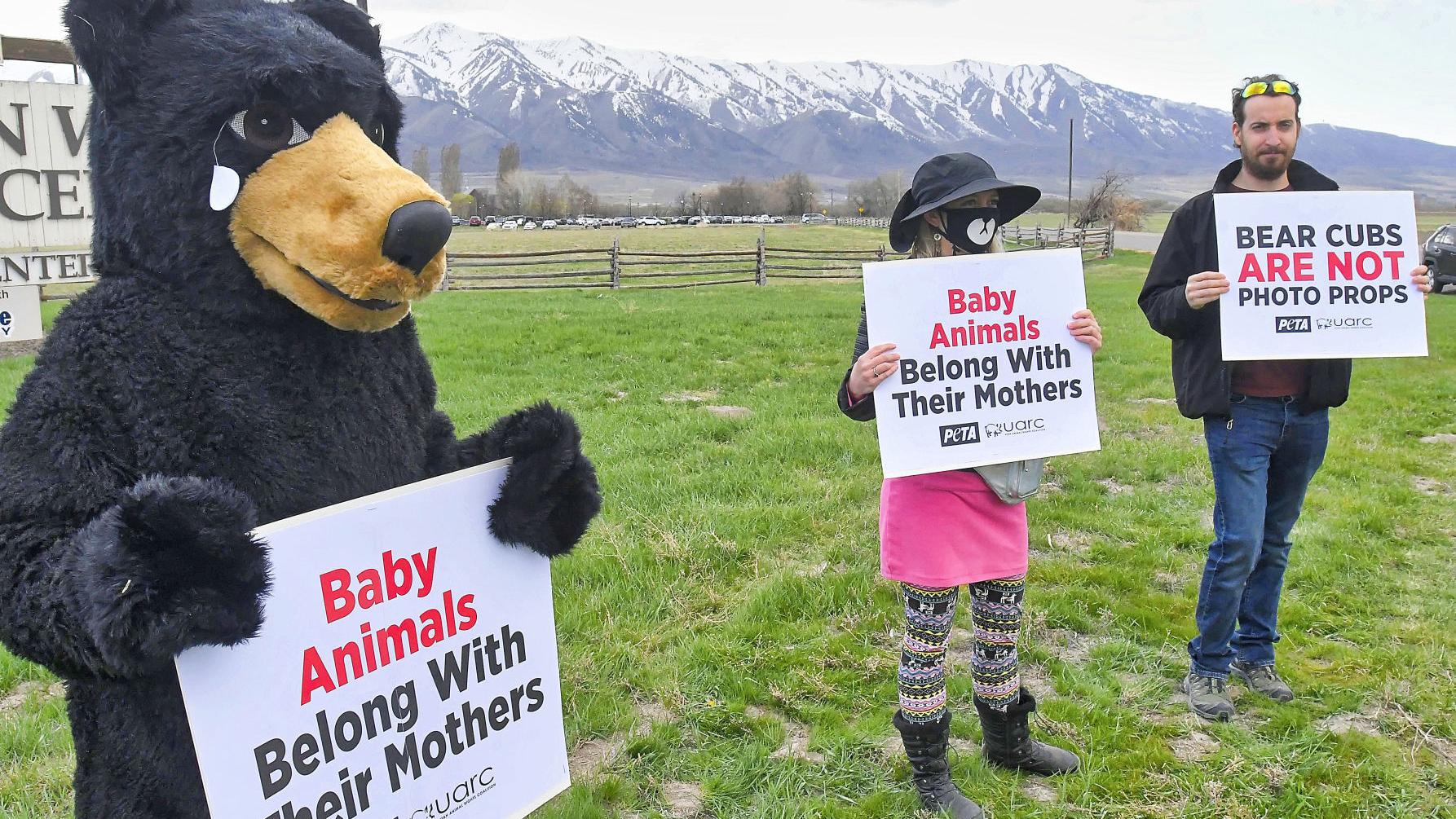 Small Group Of Protesters Gathers At Heritage Center For Baby Animal Days Local News Hjnews Com Small Group Of Protesters Gathers At Heritage Center For Baby Animal Days Local News Hjnews Com