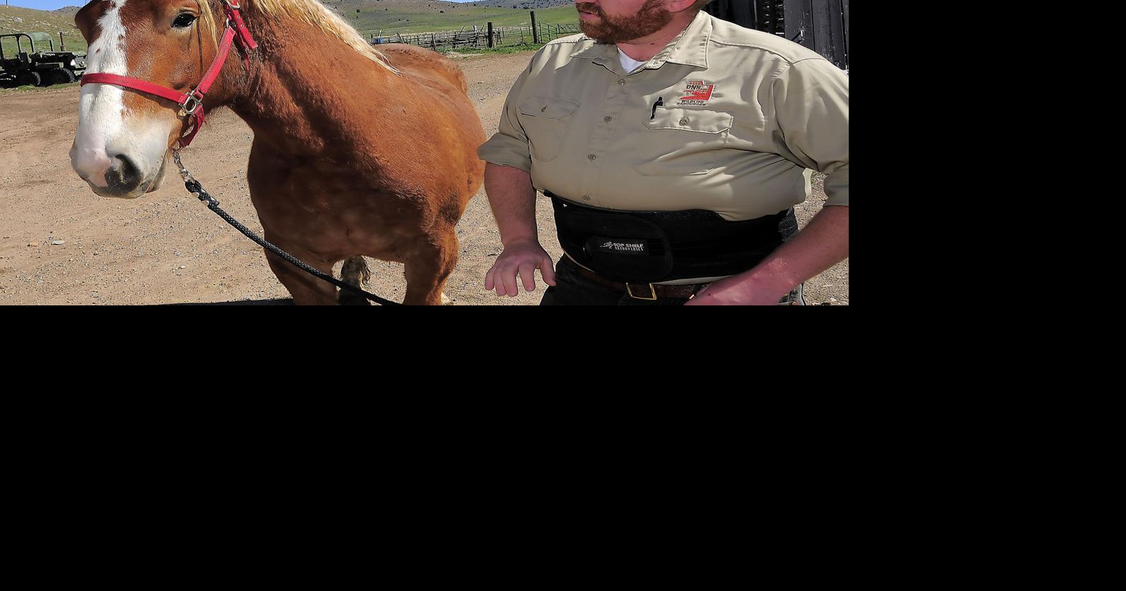 Manager of Hardware Ranch enjoys wildlife, working with horses ...