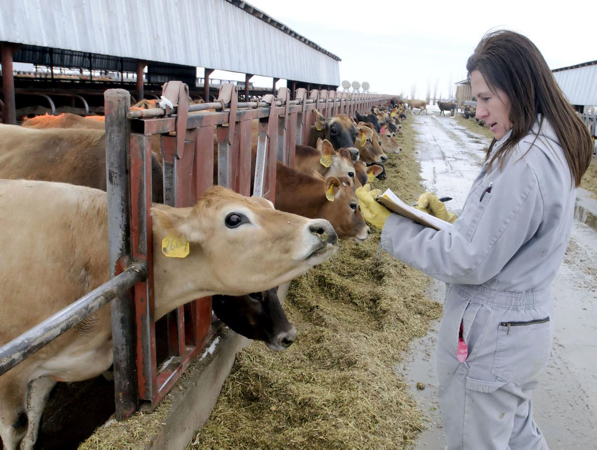 Women play key roles in agriculture jobs | The Herald ...