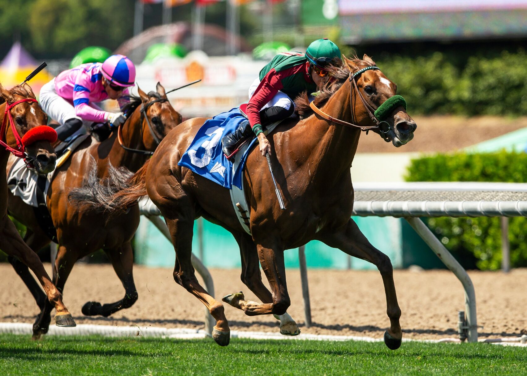 Santa Anita Horse Racing | National Sports | hjnews.com