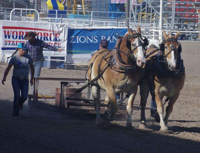 Draft Horse Show Tremonton Leader