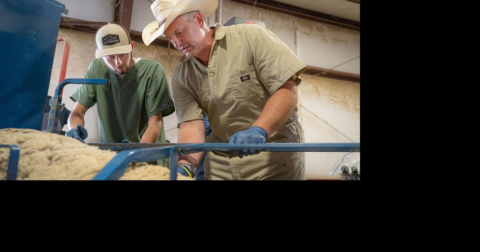 Legislature approves funding for USU to create Utah's first four-year ...