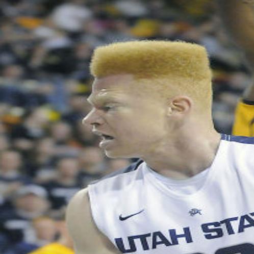 Harris will return to USU men's basketball program | Allaccess | hjnews.com