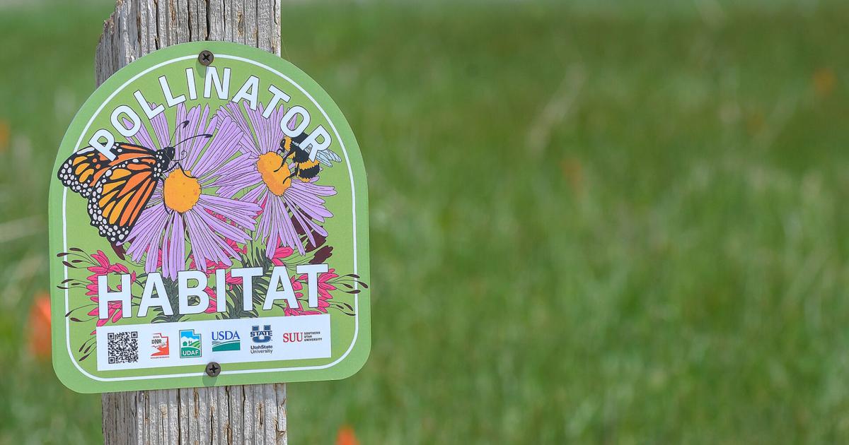 Pollinators Vip Local ecologists encourage community members to help protect ...